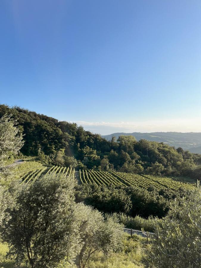 Villa Ciabot Donna Rosa Santo Stefano Belbo Esterno foto